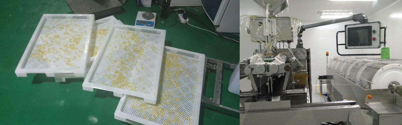 Soft Gelatin 10 Inch 30000/H Paintball Encapsulation Machine