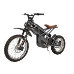 Steel Frame Fat Tire Bicycle Electric Dirt Bike for Men Rear Hub Motor Braking