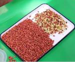 Low Consumption Grain Seeds Rice Colour Sorting Machine