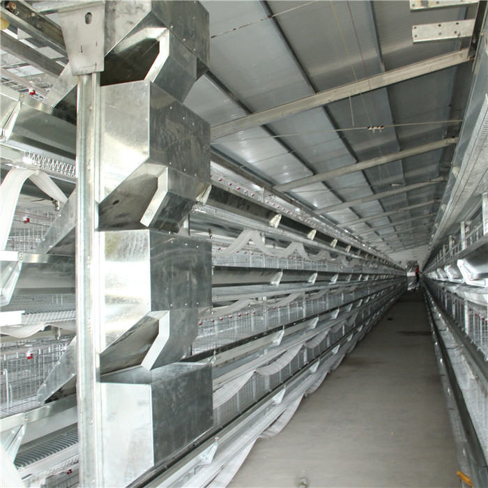 Free Layout Design Egg Layer Cage H Type Galvanized