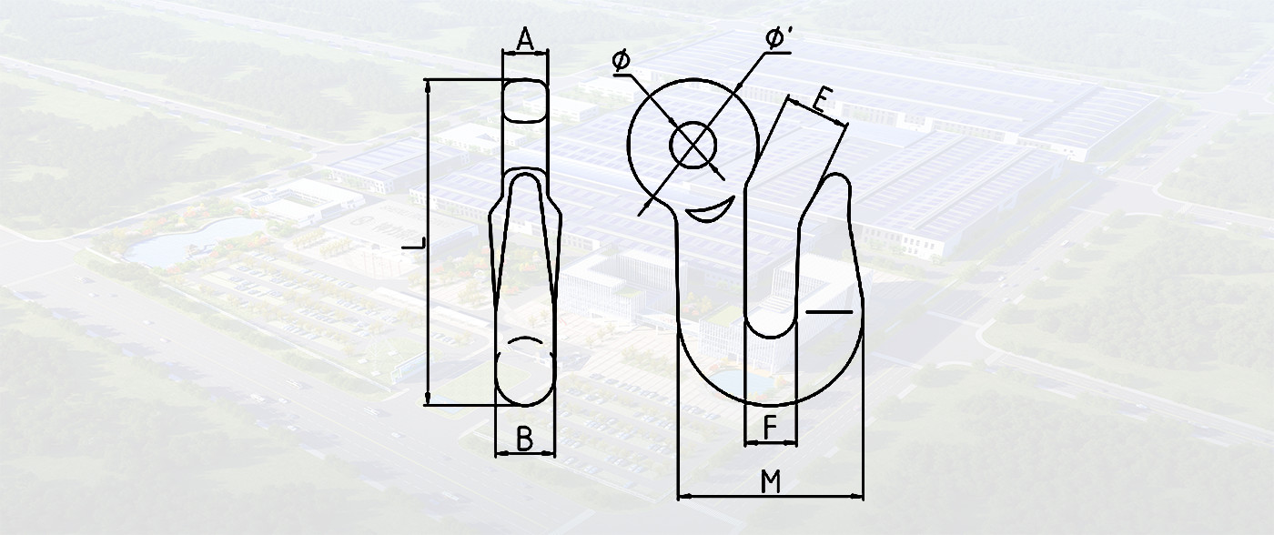 SLR876-EYE HOIST HOOK