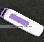 Kingston 4GB DataTraveler USB Flash Drive - DTI/4GB
