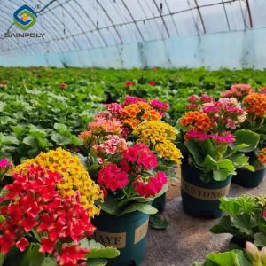 Wholesale Commercial 4 Season Greenhouse Flower Planting Greenhouse UV Resistant from china suppliers
