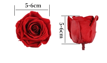 5-6cm Preserved Rose Heads For Home Decoration