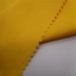 75% Nylon 25% Spandex 100D+40D 160gsm Width 150cm Breathable Sports Fabric UV