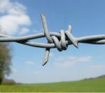 China manufacture wholesale barb wire in sri lanka hot dipped galvanized barbed