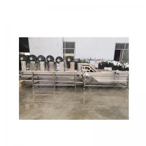China Bamboo shoot processing equipment vegetable processing line on sale