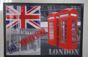 Wholesale Exterior Door Mats Beautiful View Pattern Nonwoven Fabric Printed Feature from china suppliers