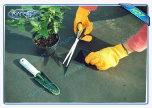 Wholesale Black 40 Gram Heavy Duty Agriculture Non Woven Cover , Weed Control Cloth With UV Resistance from china suppliers