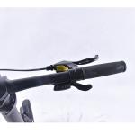 350 Mid Driver Motor 36v10ah Good Capacity Li-Ion Battery Electric Folding Bike