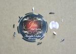Destructible Vinyl Eggshell Sticker Printing , Colorful Holographic Vinyl