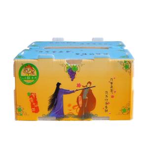 Wholesale Correx Corn Vegetable Corrugated Boxes Corrugated Plastic Shipping Boxes from china suppliers