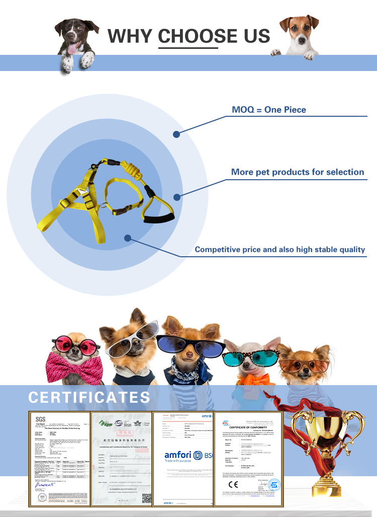 Amazon Durable Soft Padded Leather Fashion Luxury Cowhide Solid Pet Dog Collar With Metal Buckle