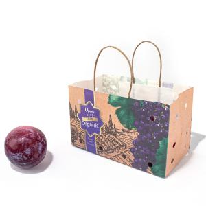 Wholesale Logo Printed Kraft Food Paper Bag , Paper Twist Handle Bags For Fruit from china suppliers