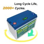 24v 60ah 70ah 80ah 24v 50ah Lifepo4 Battery Pack Deep Cycle