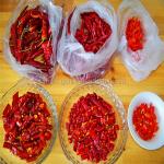 Delicious Tianjin Red Chilies Barbecue Dried Chile De Arbol Peppers