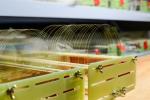 Large Size Optical Glass Sheet Windows Wafers D263 JGS2 JGS1 BF33 Material