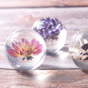 Wholesale Fashion Crystal Ball Paperweight , Resin Dandelion Paperweight from china suppliers