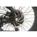 Combo Set Offered ≥6 36v 250w 700*40C Tires Ebike Electric Bicycle for Urban