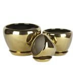 Modern And Sleek Ceramic Pots For Plants And Flowers Fast Shipping And Delivery