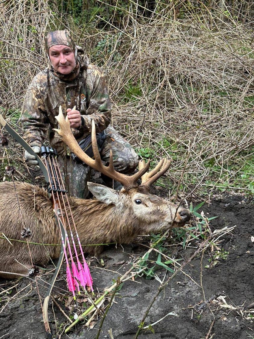 Id.204"(5.18mm) Spine 250/300/350/400 ,Straightness .001-.003",32" Penetration Ultra Hunting Assassin Arrows
