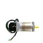 High Speed Brushless Dc Gear Motor 12v 24v Electric Custom For Automatic Product