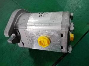 Wholesale B220501000269 Caspar Hydraulic Gear Pump MOTOR PLM20.20R5-48WC-LTG/TG-N FS-D For PM Concrete Pump Truck from china suppliers