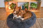 Plush Cozy Anti Anxiety Donut Calming Dog Bed 100% Cotton Handmade