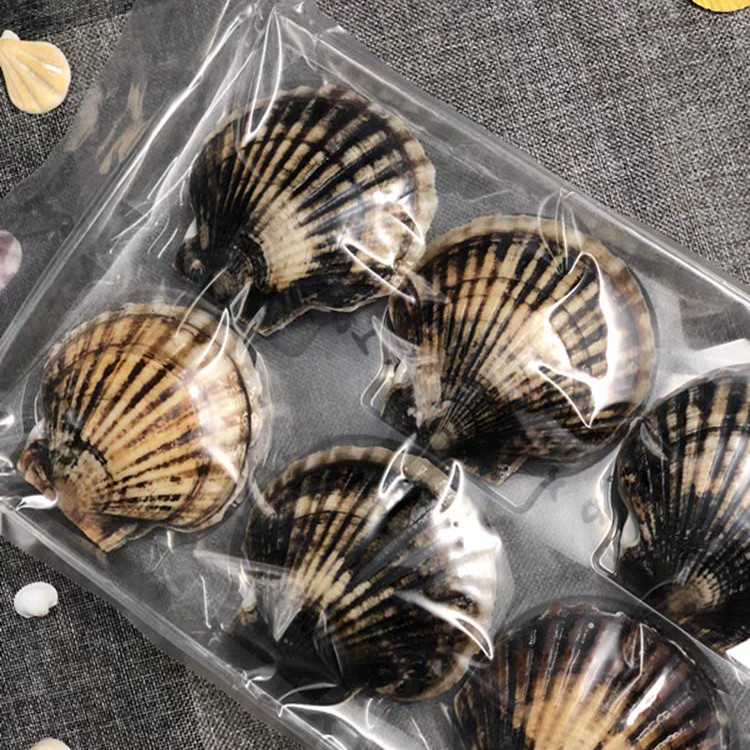 Custom Scallop Plastic Transparent 6 8 Cavity PET Tray 500g Plastic Seafood Packaging Insert Tray