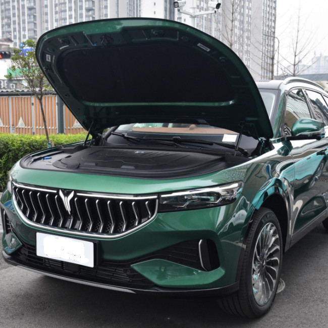 VOYAH Free 2021 Two Drive Pure Electric Version SUV Large Middle