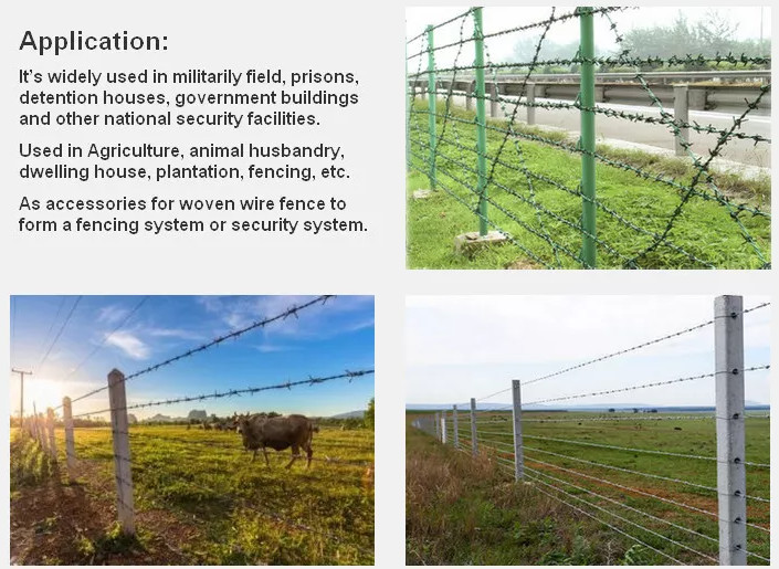 Non Rusting Boundary Wall Barbed Wire 2mm Diameter Great Protection
