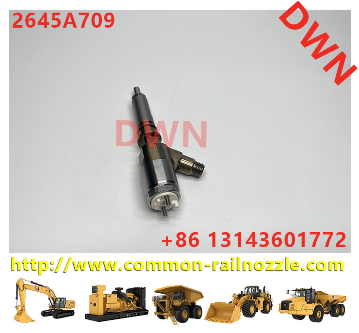 2645A709 Common Rail Injector 2645A731 2645A743 2768290 2820490 2897501 2939590