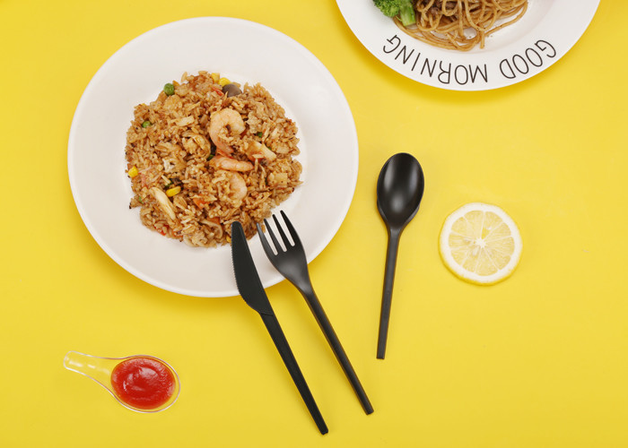 Compostable CPLA Eco Friendly Disposable Utensils
