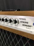 Custom Grand Tube Guitar Amp Head 100W Dumble Clone SSS Steel String Singer