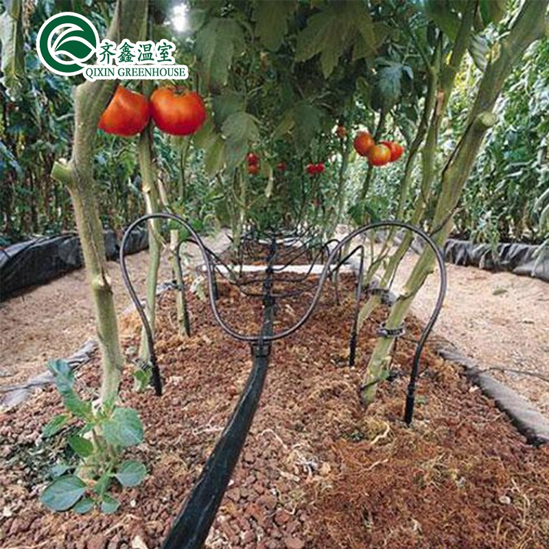 Boost Potato Harvest Large Plastic Pipes Multi-Span Agricultural Greenhouses