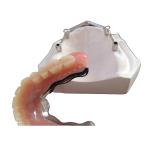 Titanium/Pure Titanium Dental Implant Bar for CAD CAM Digital Center