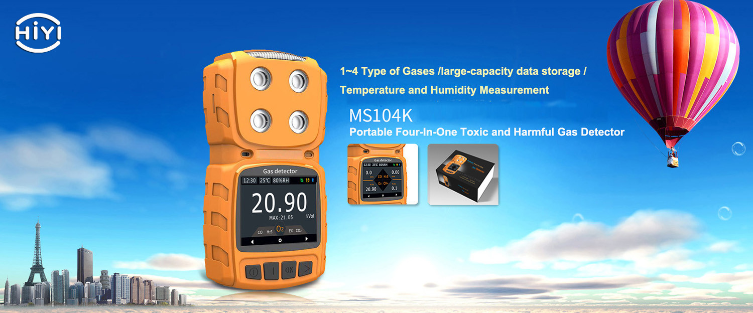 Multi Gas Leak Detector