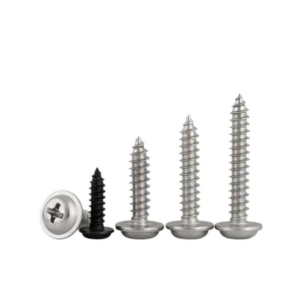 M2.5 Stainless Steel 304 Pan Head Self-Tapping Screw Din7981 for Sheet Metal- 6