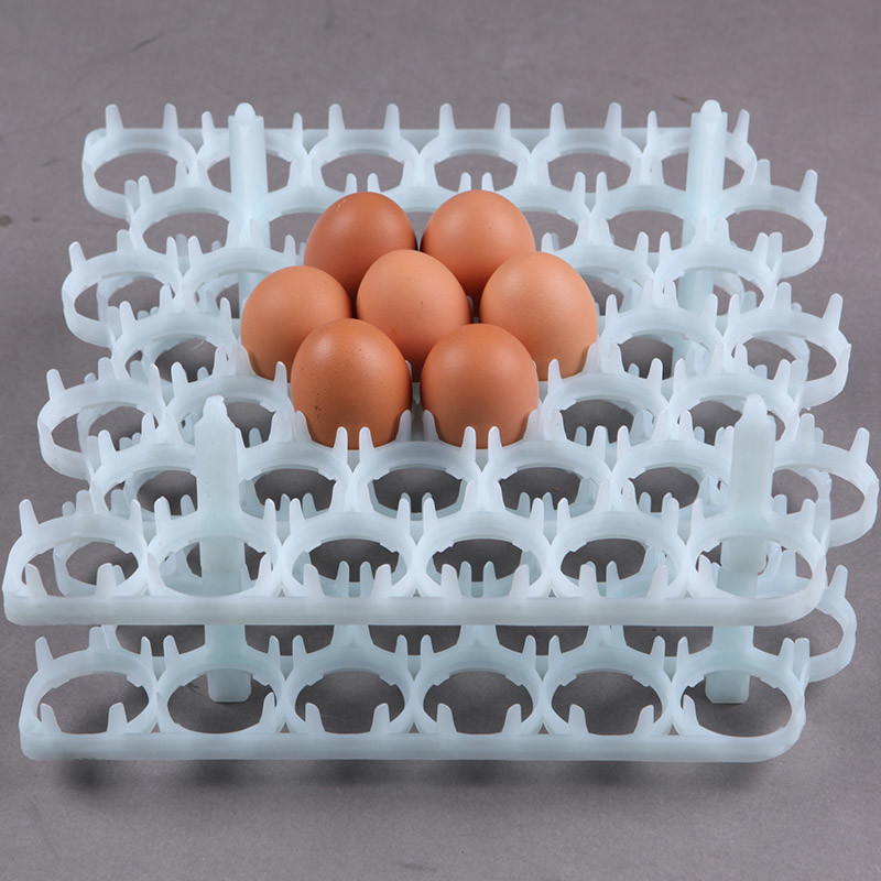 36 30 Eggs Farm Layer Plastic Egg Tray
