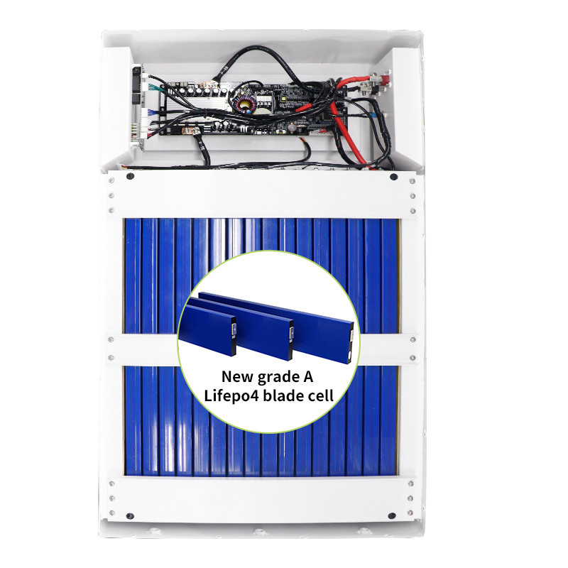 Built In BMS 48v 100ah Lifepo4 Battery Power Wall Mounted Home Solar Energy Battery