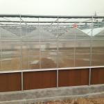 9.6m Span Venlo Pc Sheet Greenhouse Galvanized Steel Framework Green House Used