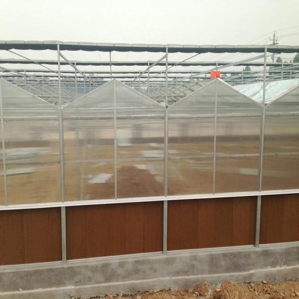 9.6m Span Venlo Pc Sheet Greenhouse Galvanized Steel Framework Green House Used