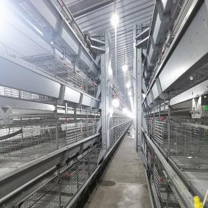 Wholesale HDG Chicken Cage Equipment , 3 Or 4 Layers Poultry Battery Cage from china suppliers