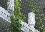 Climber Plant Trellis 1.5mm Flexible Stainless Steel Cable Mesh Metal For Green