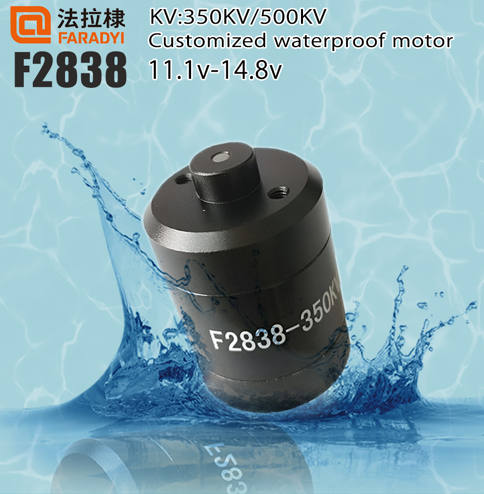 Faradyi Waterproof F2838 Motor 12V DC Brushless Underwater Motor With Propeller for Submarines