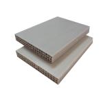 Building Lightweight 1220x2440×12mm Plastic Concrete Wall Forms
