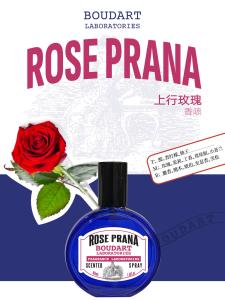 Wholesale ROSE PRANA Scented Spray Clove Essential Oil Body Spray Body Mist OEM Wholesale Perfume Fragrance Oil Concentrated from china suppliers