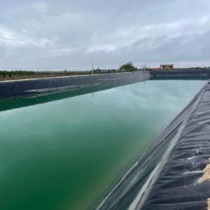 Wholesale 300 Micron 500 Micron 750 Micron Geomembrane Pond Liner for Reservoir Length 50m-200m/roll from china suppliers