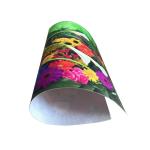 Matte Waterproof Non Woven Inkjet Cotton Canvas Anti Cracking For Printing