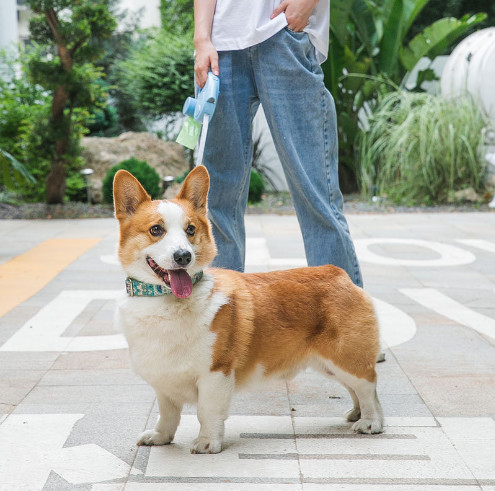 Automatic Extendable Rope Dog Lead Heavy Duty Adjustable Dog Leash